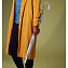 L041-02 Прозрачный женский зонт трость с полосой белого цвета, механика, Birdcage, Fulton